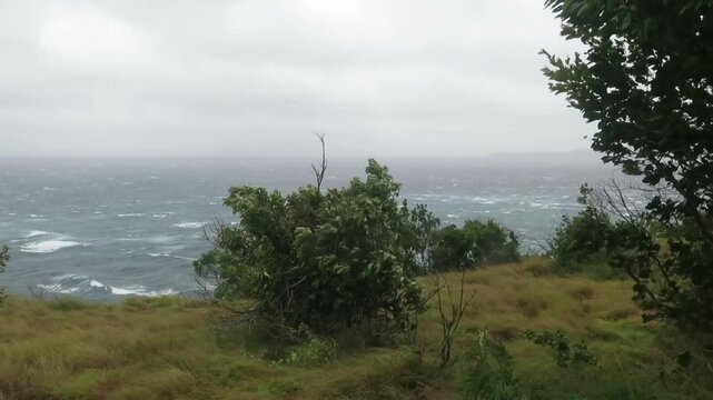 Typhoon winds whip coastal trees above a stormy tropical sea. Whitecaps and bending vegetation reveal the relentless power of the approaching storm.