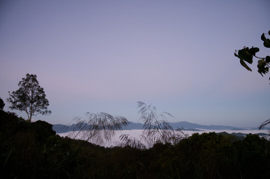 Breathtaking aerial view of misty valleys and lush green tropical rainforest mountains at dawn