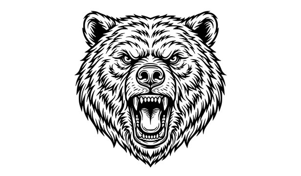 Fierce Bear Head Outline Vector Black and White Mascot Design