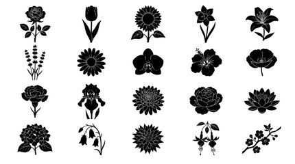 Fototapeta premium Collection of black and white floral icons featuring various flowers and botanical elements