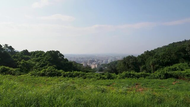 北雲雀きずきの森展望広場から見る夏の風景
