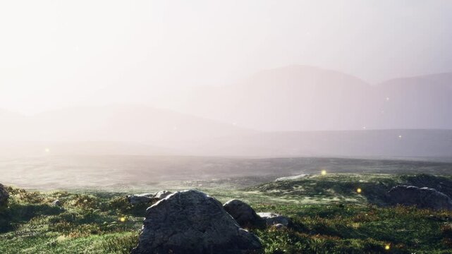Morning light fills the sky, casting a soft glow over rocks and grass in a wide open landscape. Mountains loom in the distance, creating a backdrop to this natural scene.