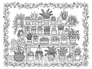 Obraz premium Houseplant collection on wooden shelves botanical coloring page for adults