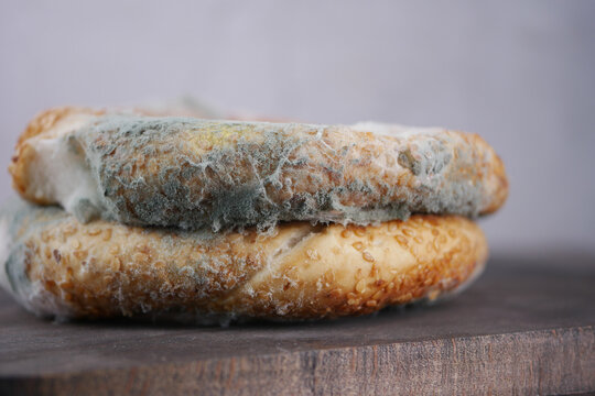 Moldy bread shows the effects of time and lack of care