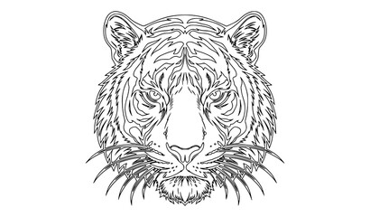 Obraz premium Tiger Head Black and White Vector Line Art Illustration