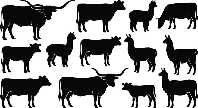 Farm livestock animals silhouette vector collection featuring domestic cows longhorn bulls llamas and alpacas