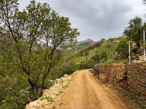 Winding dirt path between a leafy tree and a dry stone wall, leading toward green hills and a rocky peak under a cloudy sky.
📍 Hawraman Takht, Kurdistan, Iran 