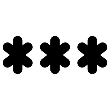 password icon. passkey vector.
