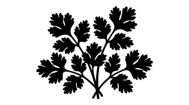 Black silhouette of fresh coriander or parsley leaves isolated on white