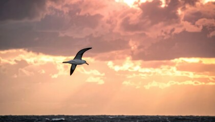 Fototapeta premium Serene Seaside Sunset With Flying Seagull Over Ocean.