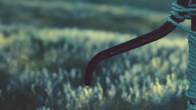 A brown rusty hook is secured to a wooden post with rope. In the background, soft green grass is illuminated by warm light, capturing the essence of a late afternoon.
