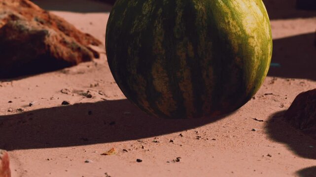 A watermelon is rolling on sand near some rocks while the sun shines brightly. The scene captures the natural setting of a beach environment.