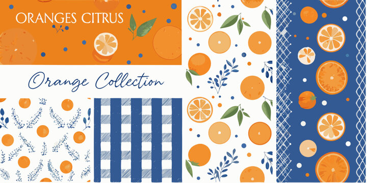 oranges citrus pattern collection with blue and orange color schemes scheme fruit design graphic illustration background print textile fabric decoration