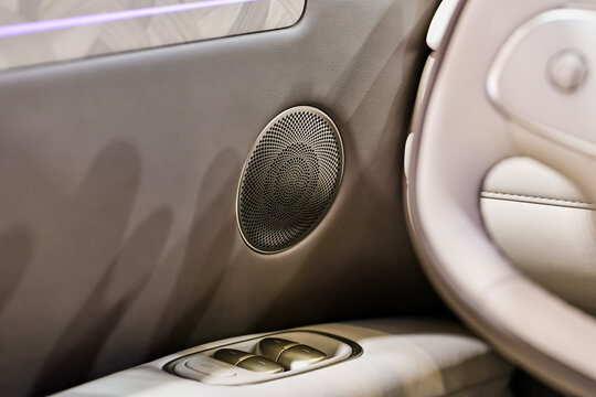 Close-up of the speaker on the car side door