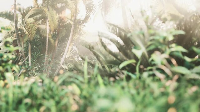 A view of various green plants and tall trees in a forest. The morning mist covers the area, creating a soft light. Leaves and grasses fill the space, showing natures beauty.