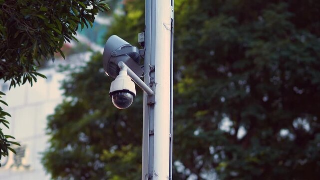 Surveillance cameras in a city park area