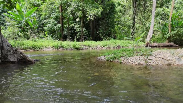 This is a natural waterway that flows through the humid forests of Thailand during the rainy season.
