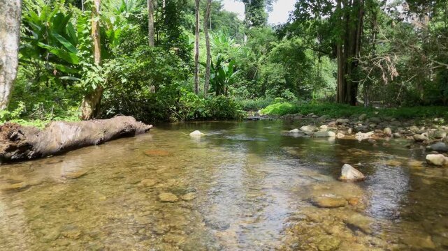 This is a natural waterway that flows through the humid forests of Thailand during the rainy season.
