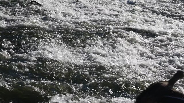 fast flowing water in a river