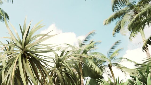 Tall palm trees and green plants fill the scene. The sky is blue with some white clouds. Sunlight shines on the leaves, creating a bright atmosphere in a tropical setting.