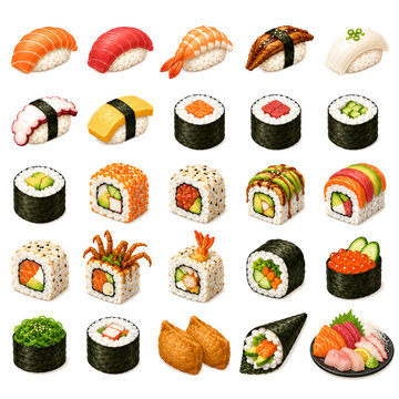 Sushi vector illustration collection