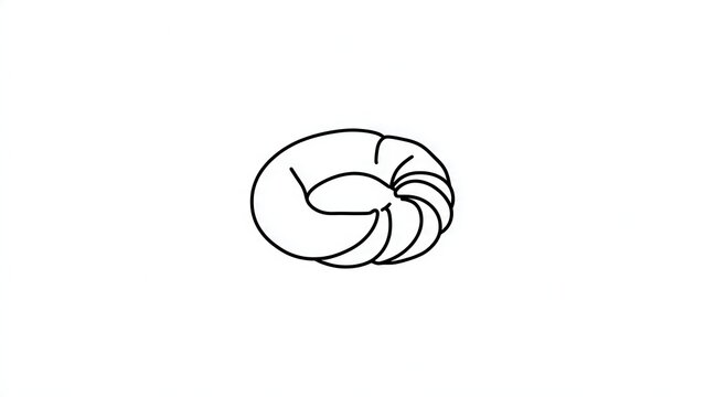 Minimalist snail shell icon white background.