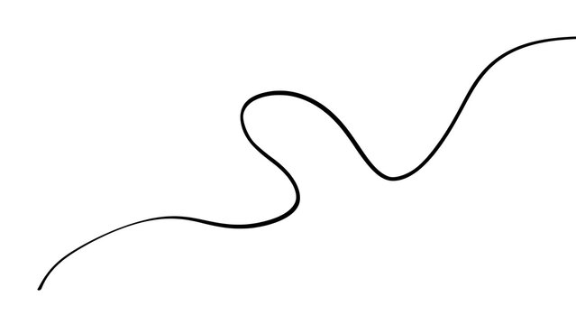 Elegant black squiggly line on white background.