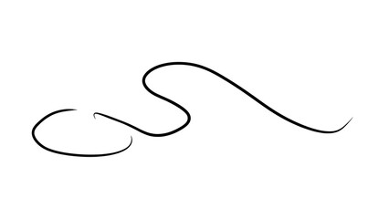 Obraz premium Elegant black squiggle line on white background.