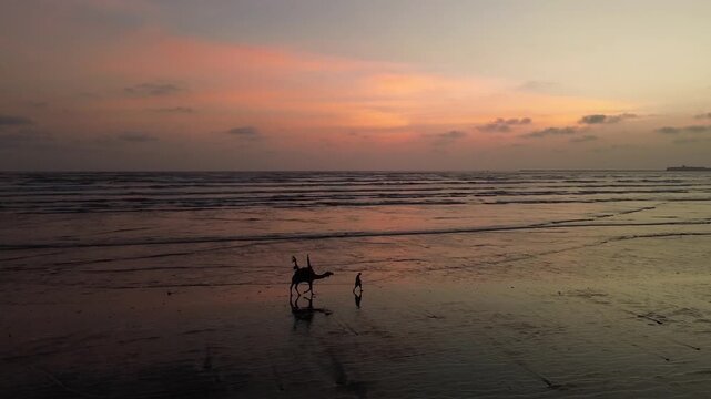 Camel handler walking at the sea view beach, Karachi Pakistan 