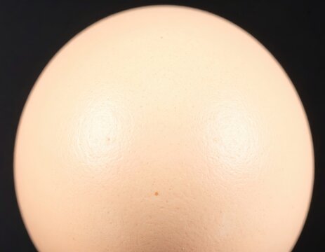 Ostrich Egg Close-up Macro Photography, Large Single Egg with Speckled Shell, Isolated on Black Background