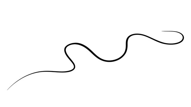 Elegant wavy line illustration on white background.