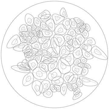 Organic Cellular Network Abstract Circular Vector