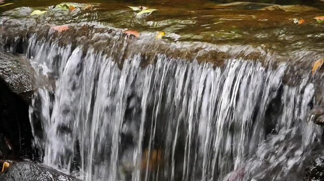 Flowing water at the park - Curepipe Botanical Garden 