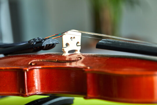 Close up shot of a violin,very soft def of field. Detail of violin.