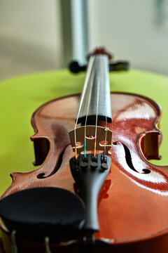 Violin on a green background, close-up. music concept