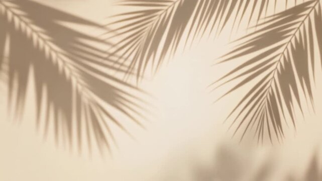 Soft tropical palm leaf shadows drift across light neutral background, creating elegant sunlight overlay for luxury branding, resort visuals, product displays and copy space.