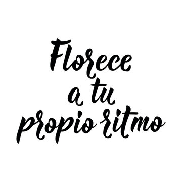 Minimalist typography poster with elegant hand drawn brush lettering. It features the Spanish phrase: Florece a tu propio ritmo, which translates to Bloom at your own pace. Vector art.