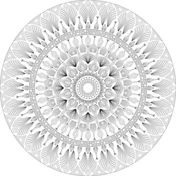 Elegant floral mandala coloring page with ornamental circular patterns for adult coloring books, mindfulness, relaxation, and stress relief.