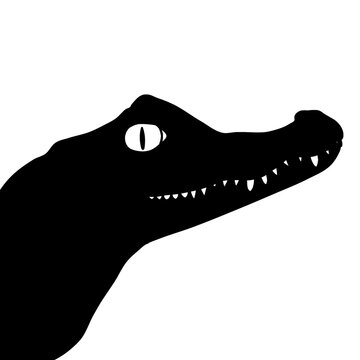 Crocodile head silhouete line art vector