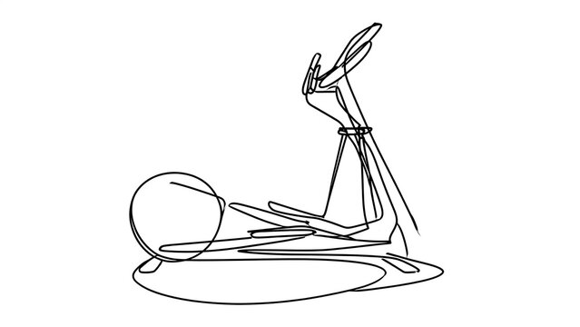 Minimalist line art insect white background.