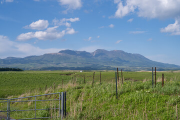Fototapeta premium Vast Grassland Along Aso Milk Road and Kuju Mountain Range, Kumamoto, Japan