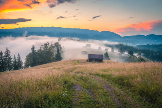 Amazing autumn scenery with misty valleys and hills