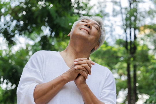 Relaxed happy refreshing old retired senior Asian man taking a deep breath of clean unpolluted air in urban park, good summer, summer wellness, sunlight exposure concept image