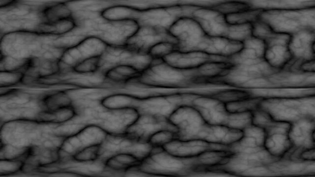 Abstract Organic Cell Texture Loop | Black and Grey Noise Motion Background