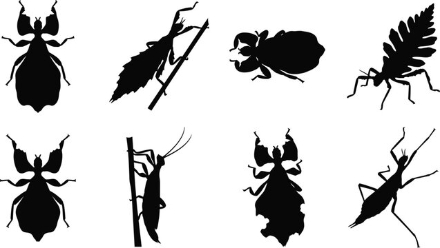 Parasitic Insect Silhouette Vector Set with Lice and True Bug Collection