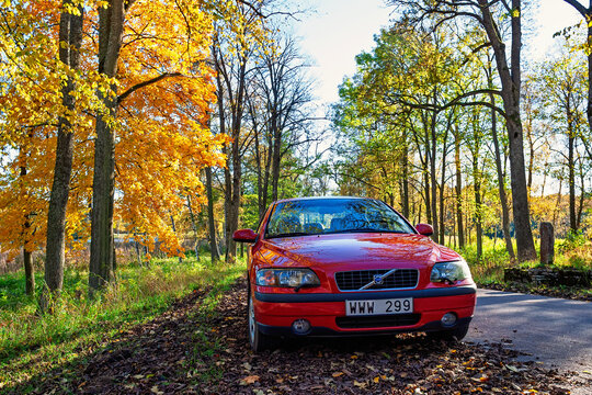 Red car parked on the roadside in a forest at autumn