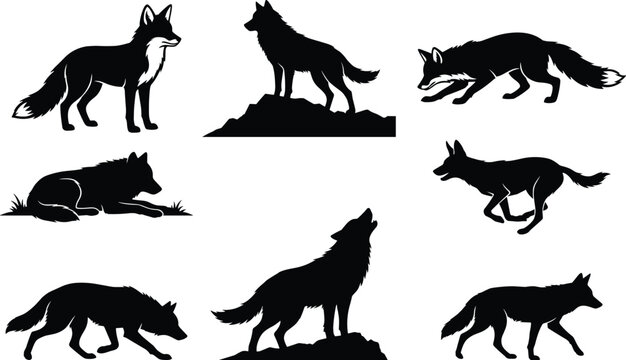 Vector collection of black wolf and fox silhouettes in various action poses on white background