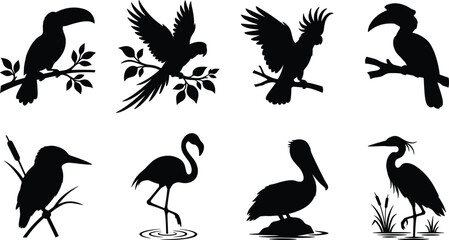 Vector silhouette collection of exotic tropical and water birds including macaw, flamingo, toucan, and heron © MdMahedi