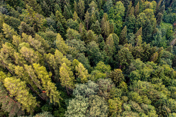 Beskid Sądecki, Muszyna, Malnik, poranne mgły, lato © Maciej G. Szling