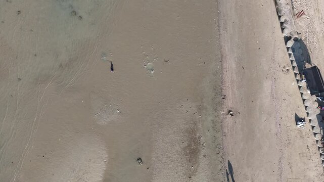 Aerial Top Down View of People Walking on Sandy Beach Casting Long Shadows